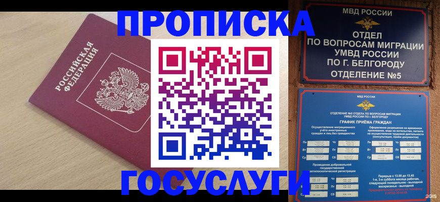 прописка законно в Болхове